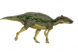 Edmontosaurus 1