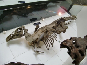 Edmontosaurus 3