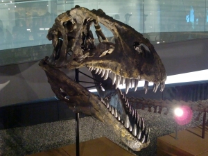 Acrocanthosaurus_2