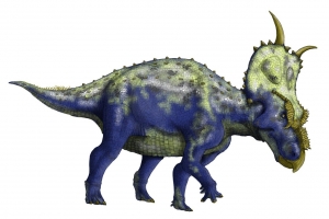Achelousaurus_002
