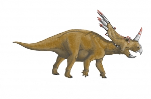Styracosaurus_1