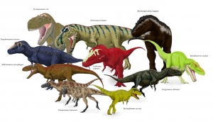 ティラノサウルス科