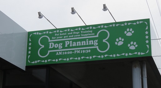 dog planning