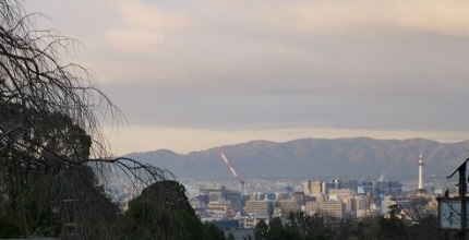 P1070477.jpg