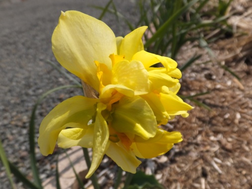 DSCF1508+1.jpg