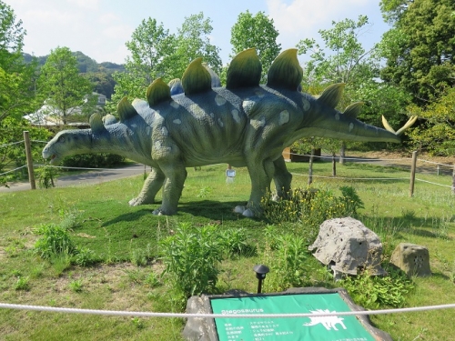 フルーツパーク　ステゴサウルス