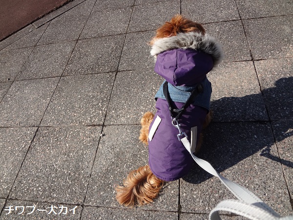 お散歩日より (2)