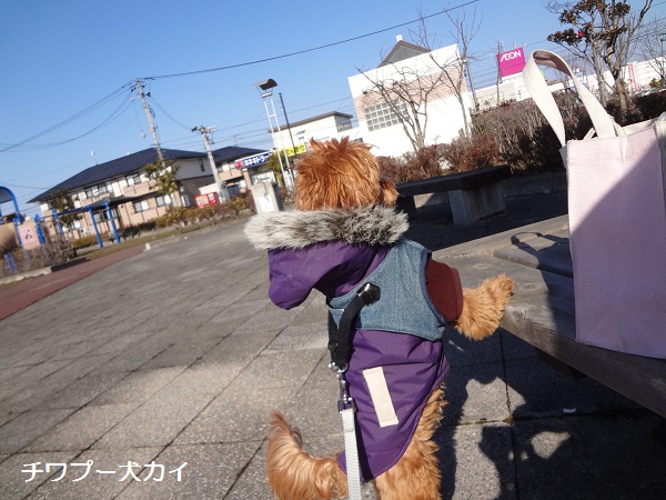 お散歩日より (3)