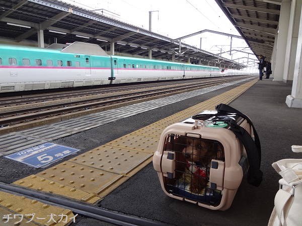 新幹線に乗る (1)