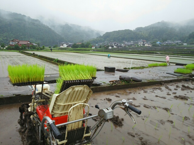 20150622194116541.jpg