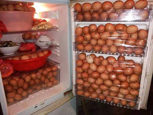 工場の食堂から少しづつ卵を盗んでいたとして警備員が逮捕→自宅の冷蔵庫から４００個の卵が見つかる