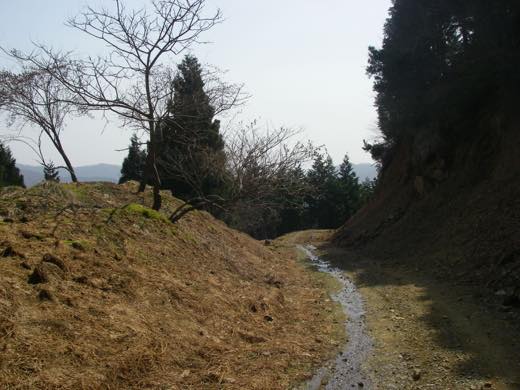 _hodosu146.jpg