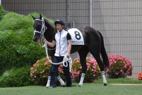 20150525A (7)