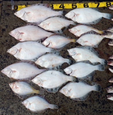 20150409-04.jpg