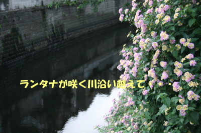 150525-14.jpg