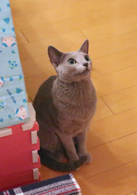 アンお座り