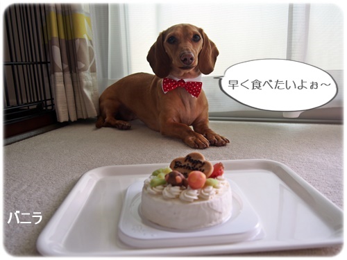 バニラ３歳誕生日ケーキ