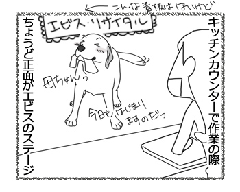 羊の国のラブラドール絵日記シニア!!「エビス・リサイタル」1