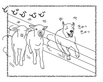 羊の国のラブラドール絵日記市にあ!!「シープドッグ奮闘記」3