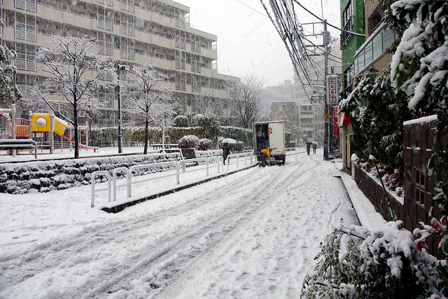 4月に雪が！？東京都心で4月に雪が降ったのは何年ぶり？