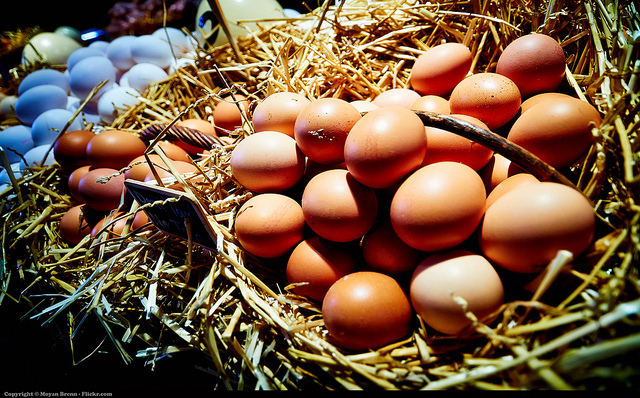 ゆで卵と生卵を簡単に見分ける方法