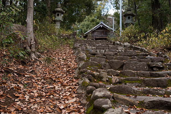 尾張戸神社へ続く石段