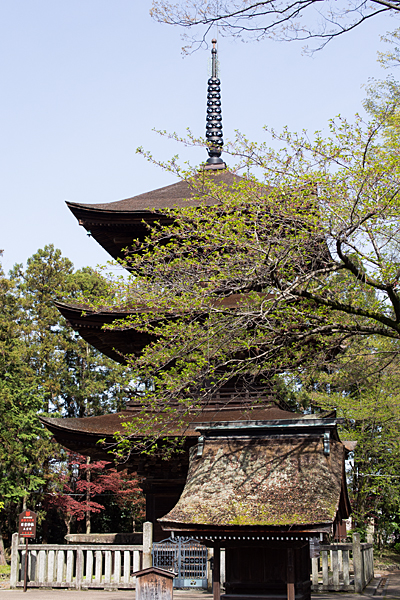 日吉神社-9